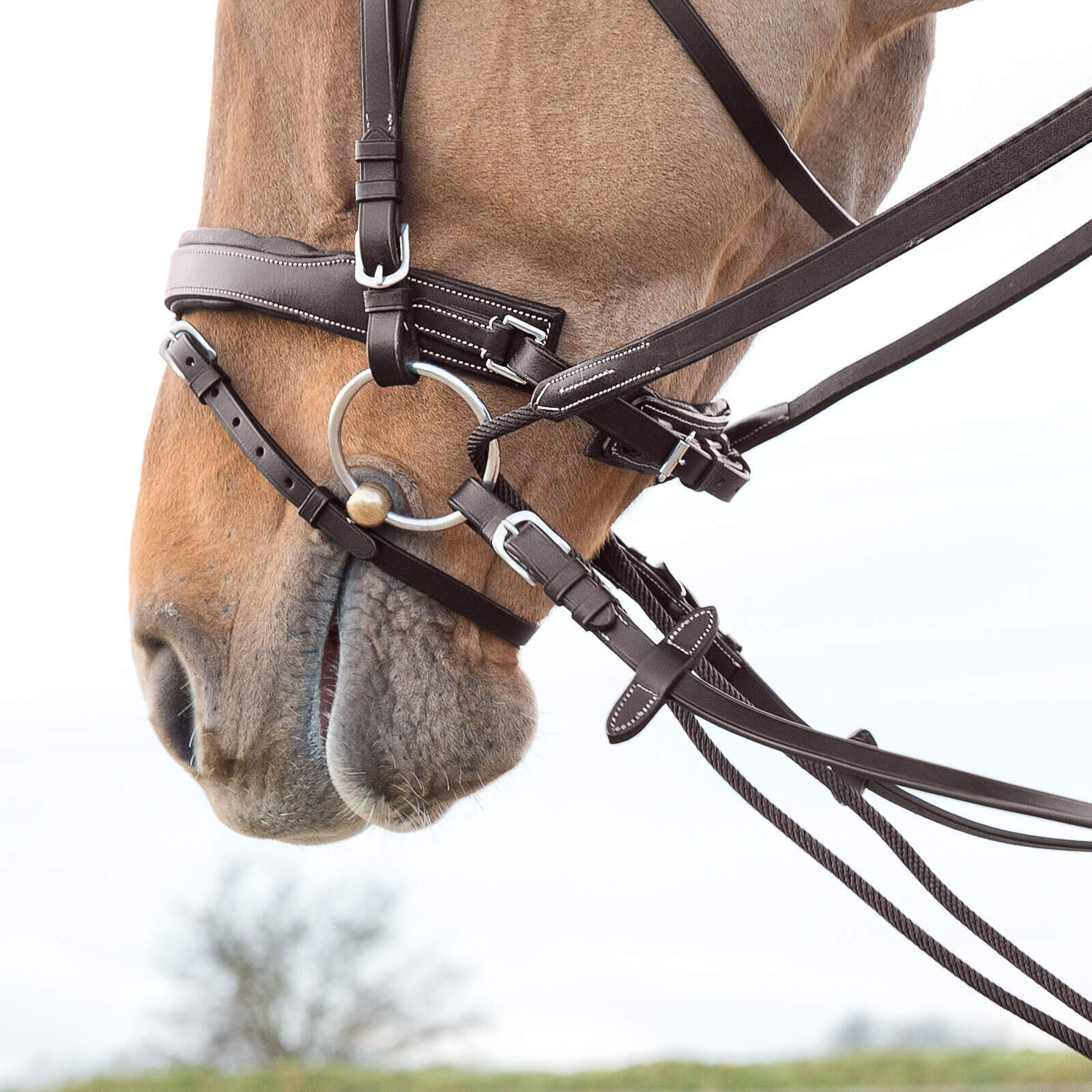 Morso da cavallo tedesco in pelle e nylon Horze Sparta 6/7