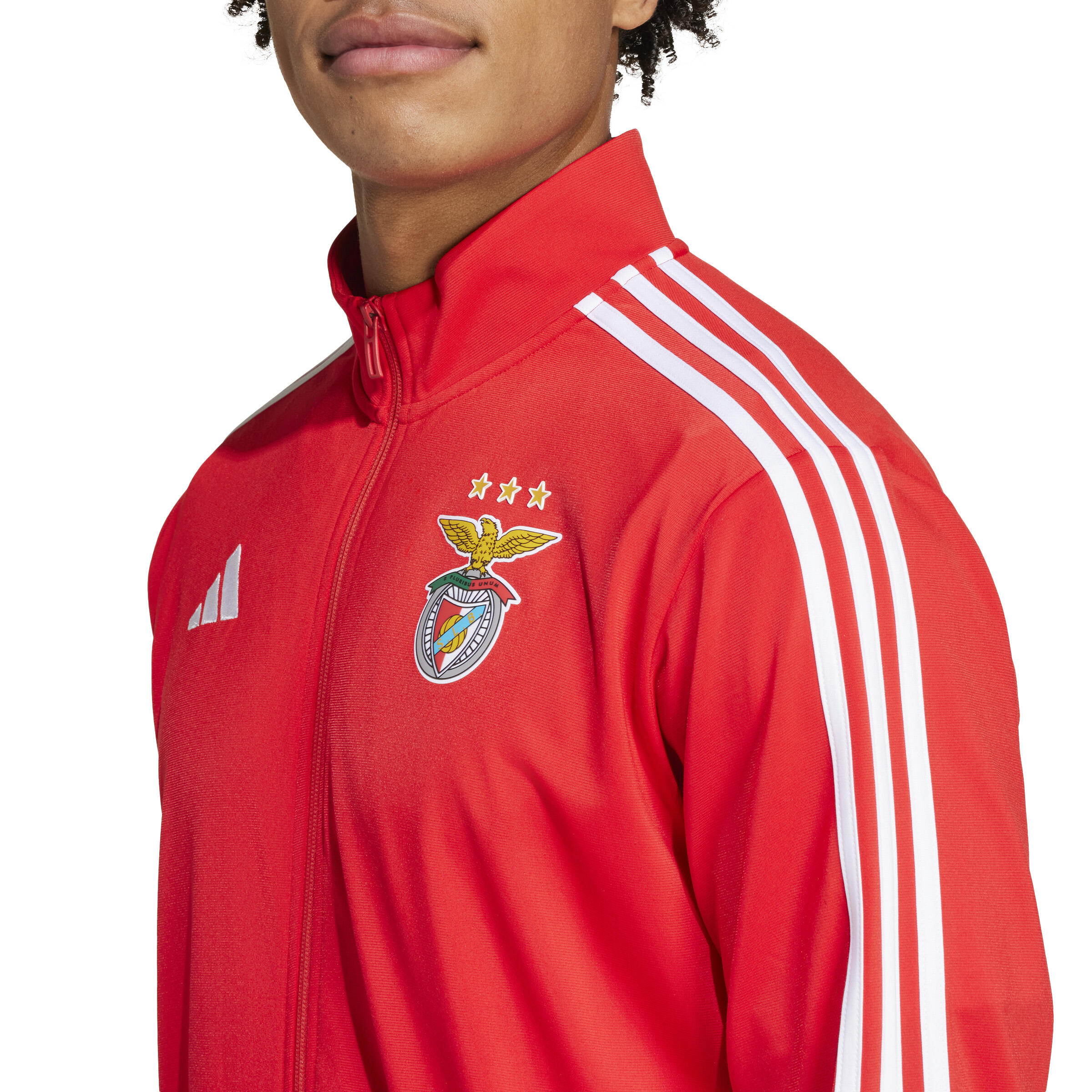 Trainingsjacke Benfica Lisbonne DNA 2024/25 5/7