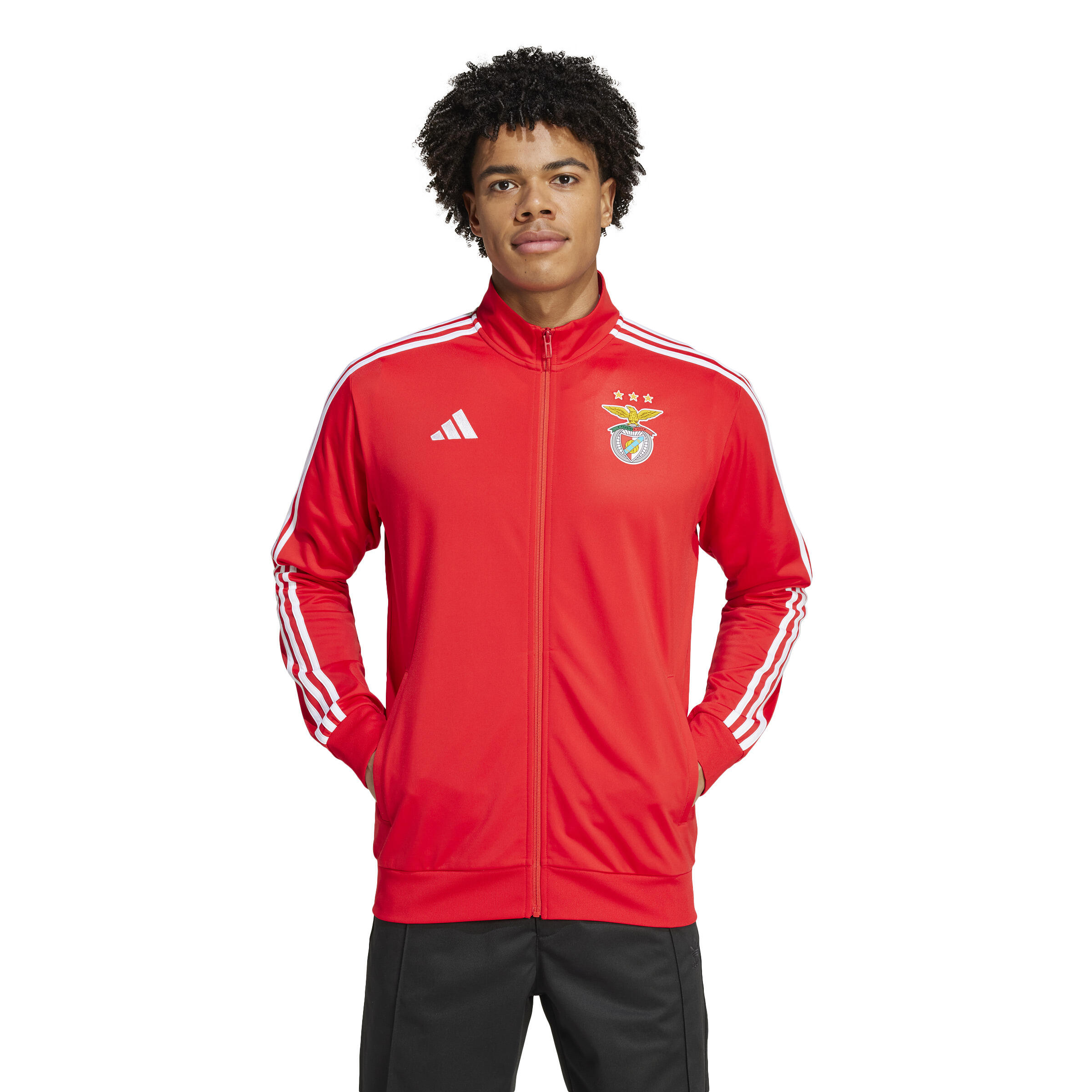Trainingsjacke Benfica Lisbonne DNA 2024/25 2/7