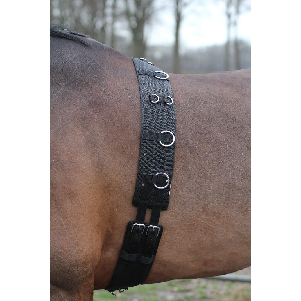 HORKA Paard surfaix Horka