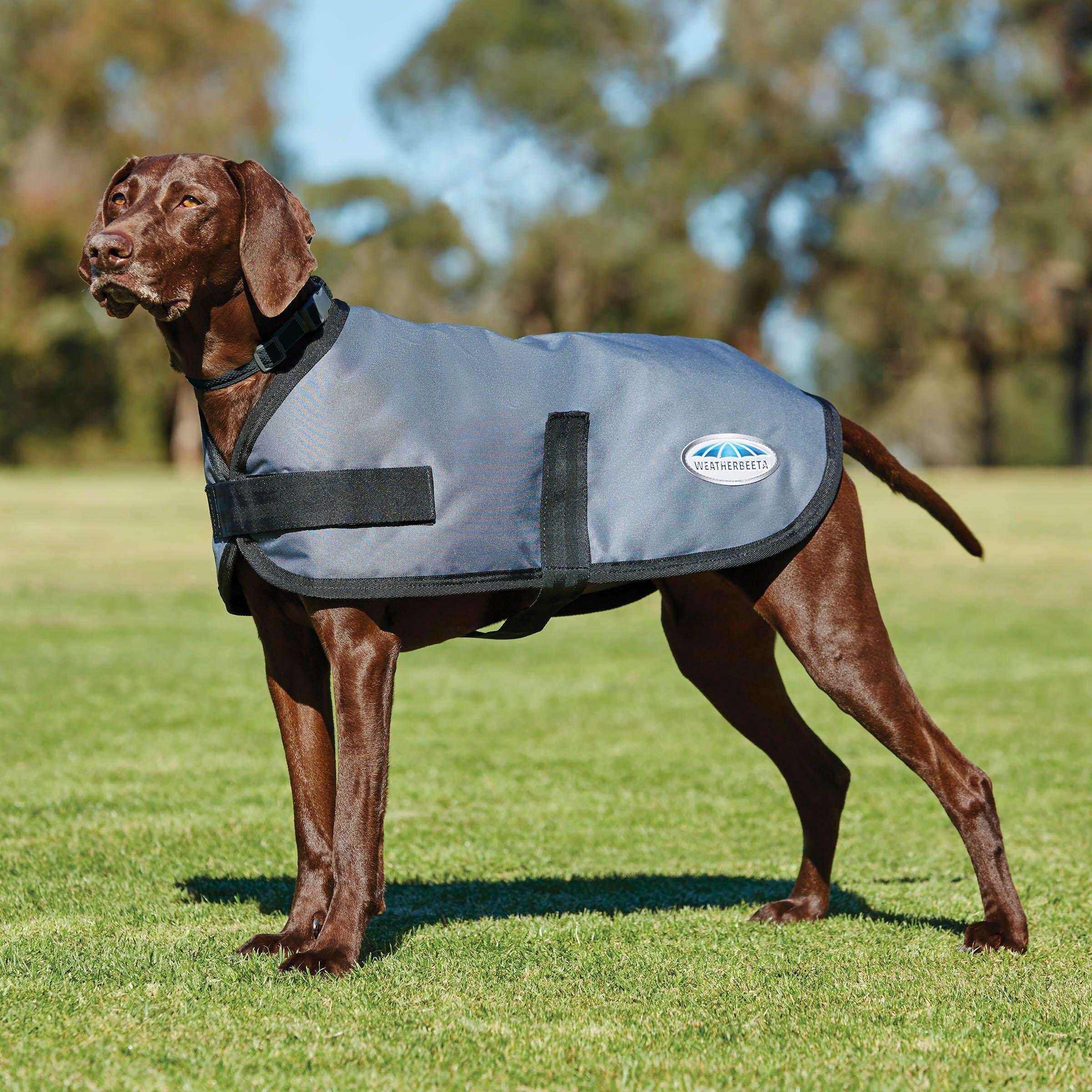 Manteau classique pour chien Weatherbeeta Comfitec 2/2