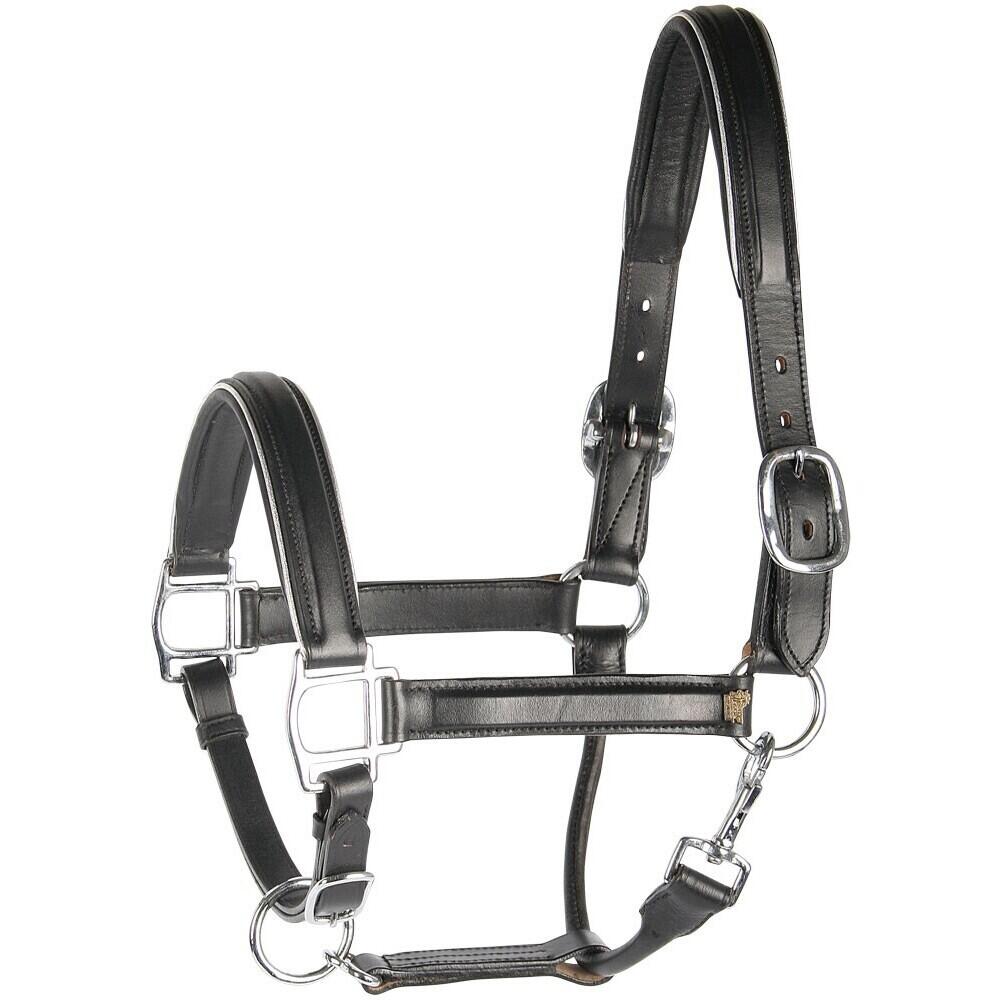 HARRYS HORSE picture