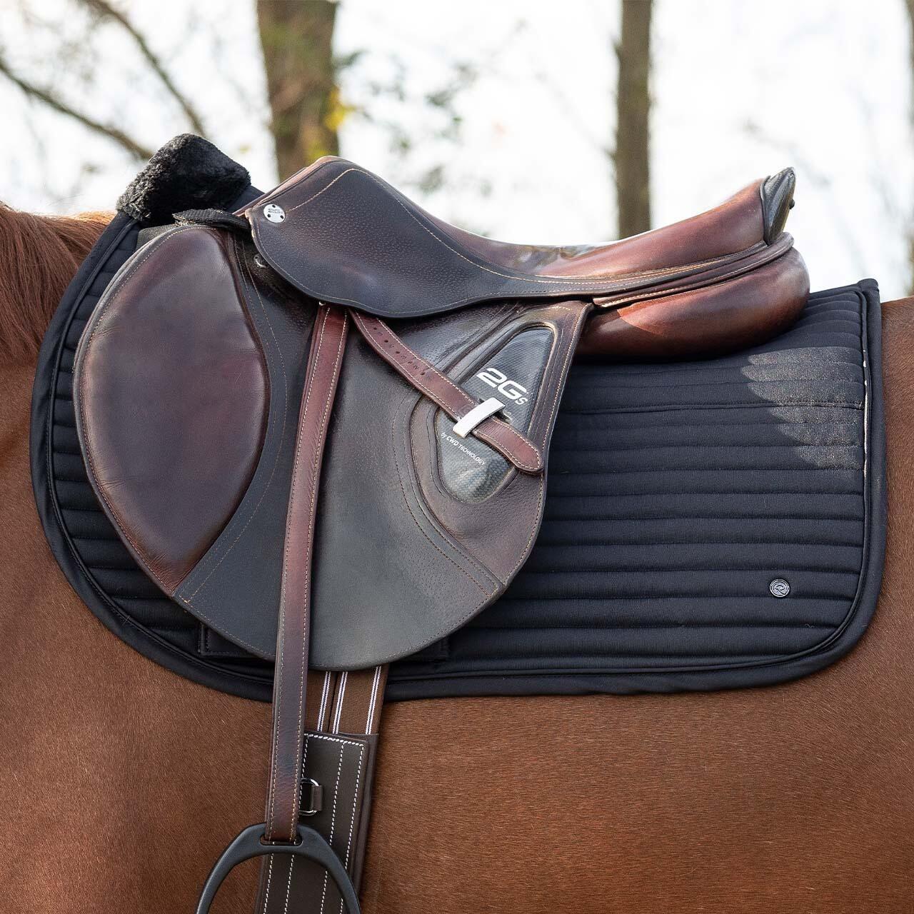 Satteldecke QHP Avélie 4/7