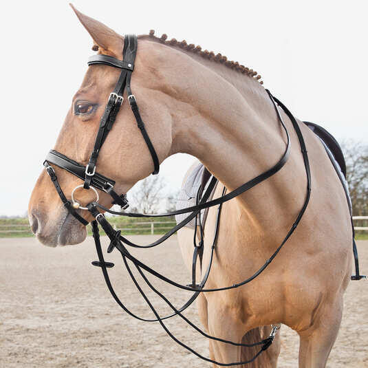 Rêne allemande en cuir et nylon pour cheval Horze Sparta 2/3