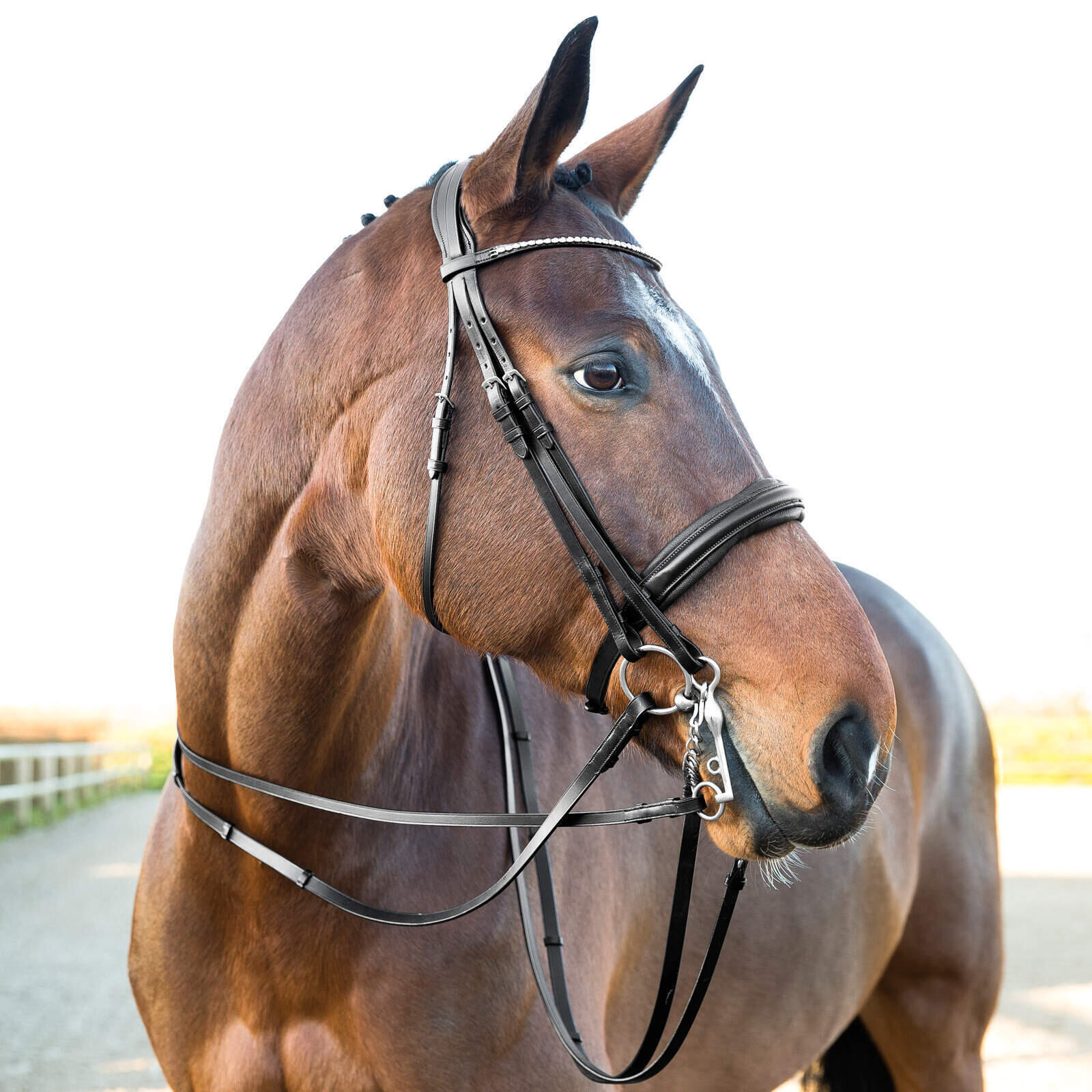Rênes pour cheval avec arrêtoirs Horze Laelia 3/3