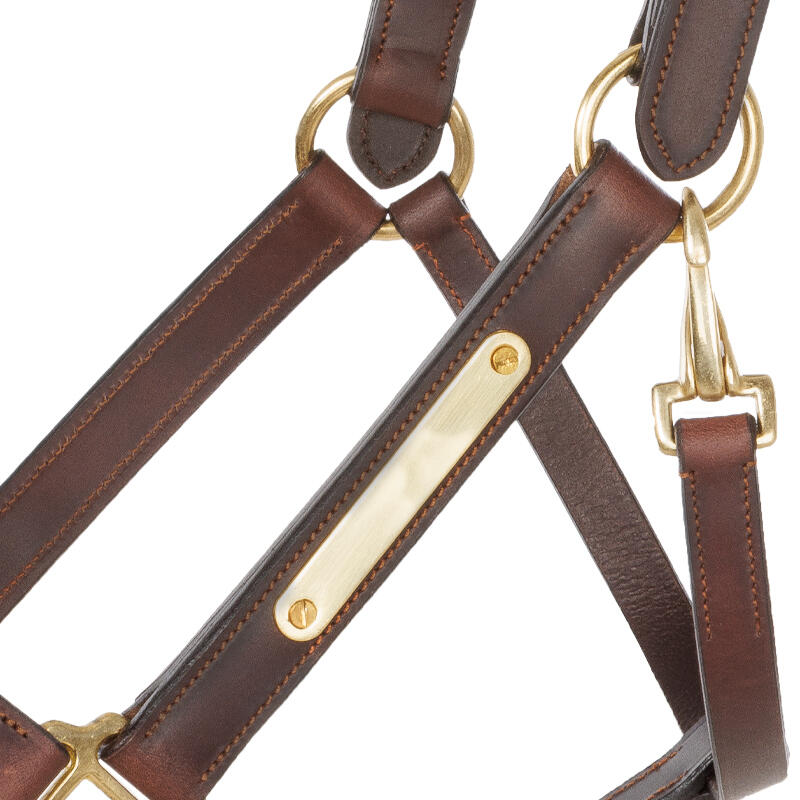 Halsband voor paard Kavalkade Cinta 3/5