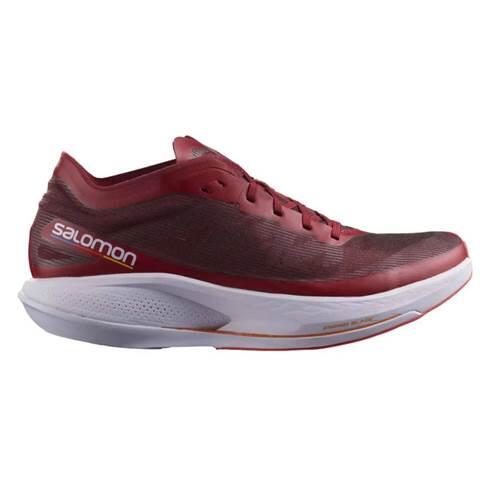 SALOMON picture