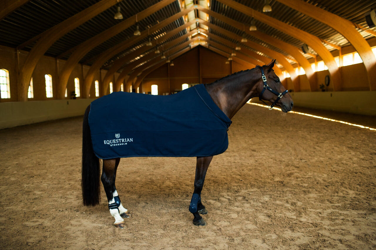 EQUESTRIAN STOCKHOLM picture