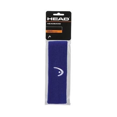 Fascia Head Logo Blu