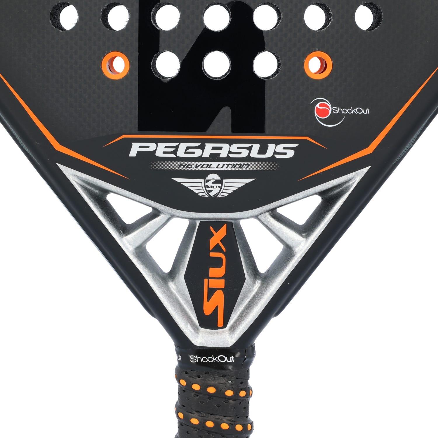 Siux Pegasus Revolution 3k 2023 5/7