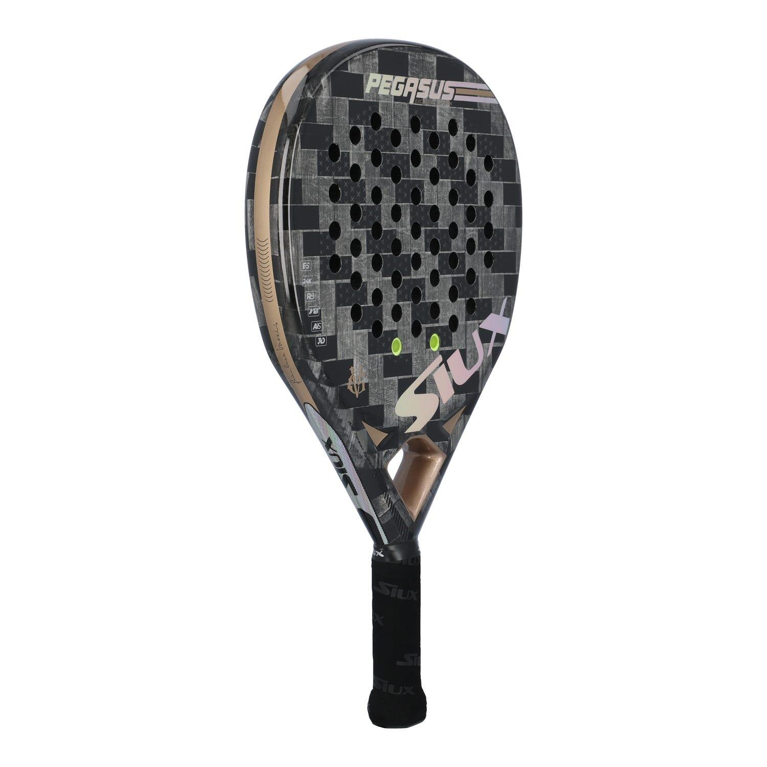 SIUX PEGASUS GV EDITION 3/7