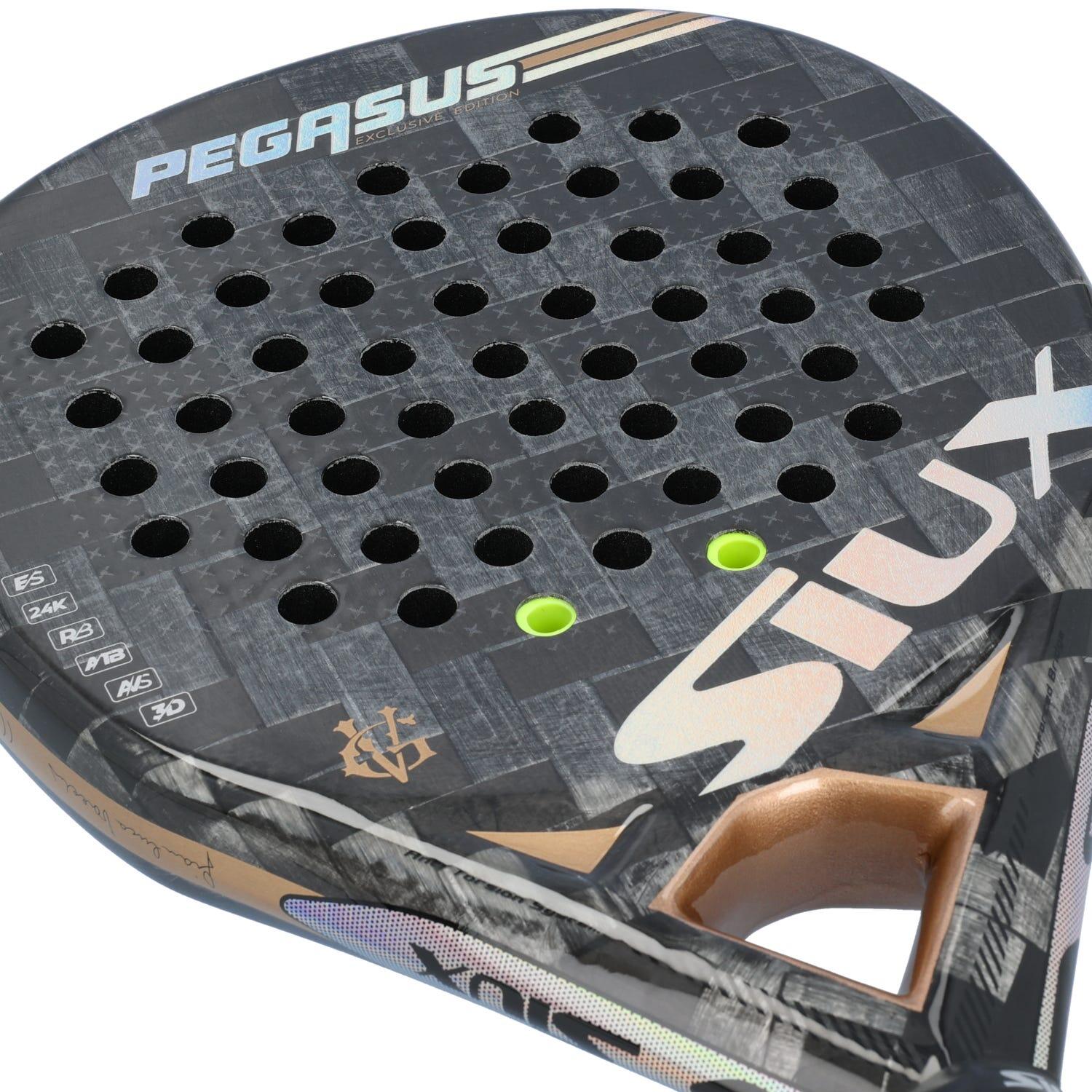 SIUX PEGASUS GV EDITION 6/7