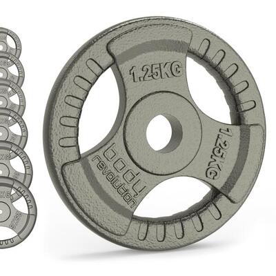 Gietijzeren gewichtsschijven 1" standaard tri grip paren 2 x 1.25 kg