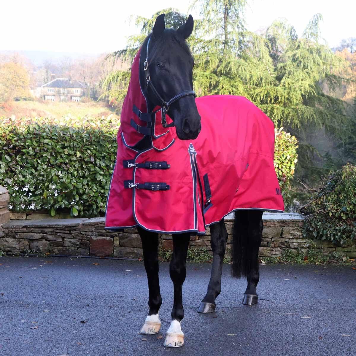 Fieldmasta 0g lightweight turnout rug with combo neck 2/4