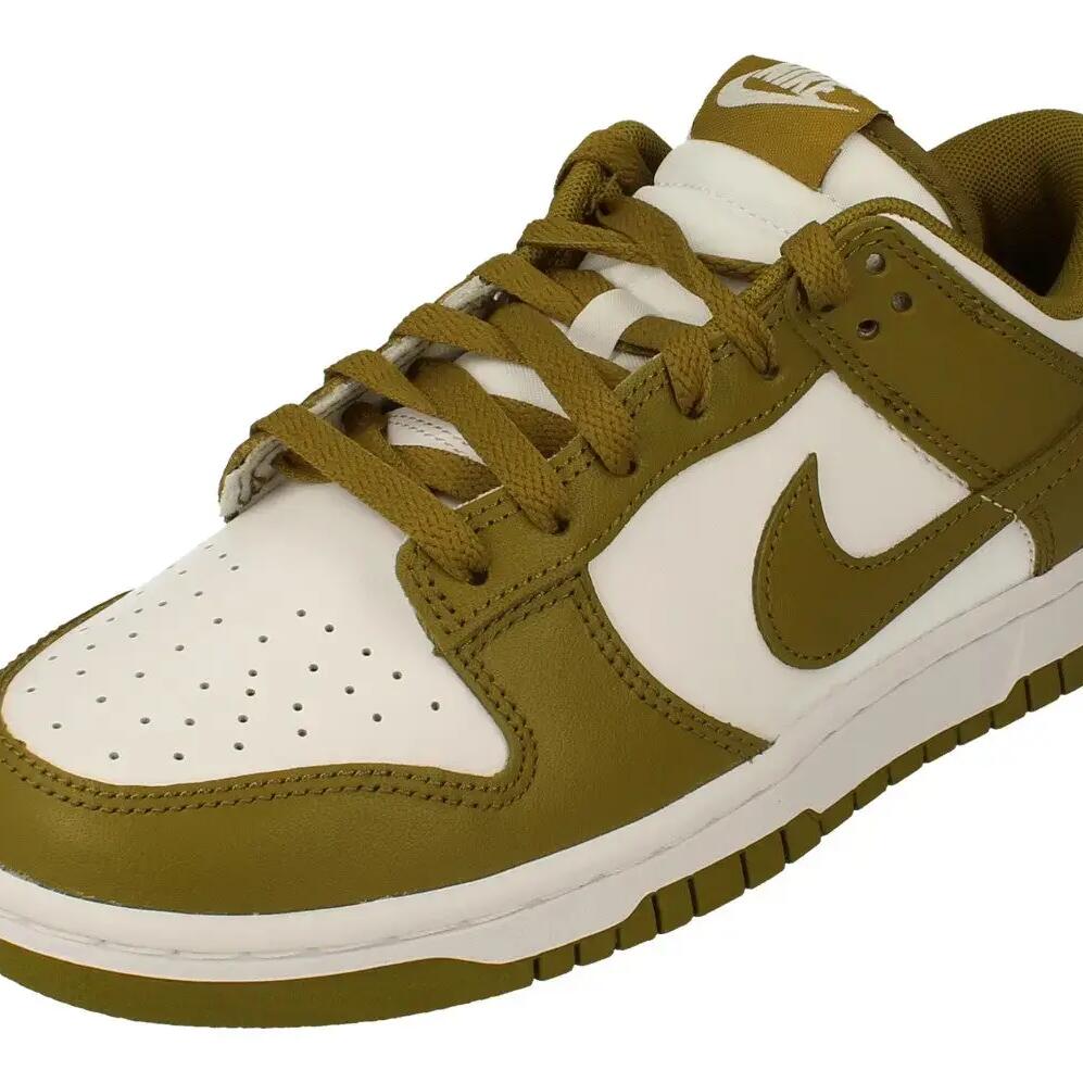 Dunk Low Retro Mens Trainers Dv0833  105