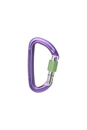 Karabiner zum Klettern Session Screw Gate