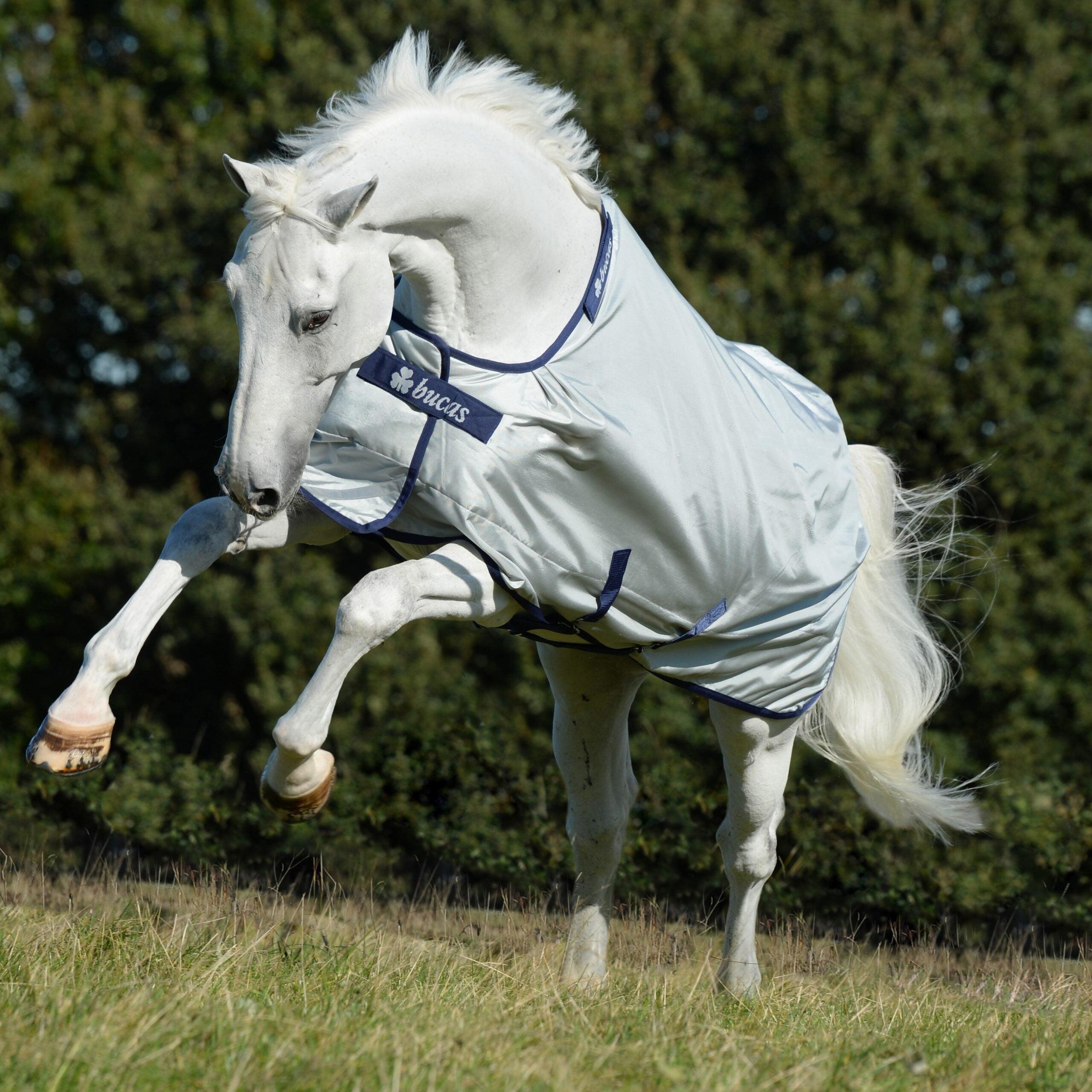 Bucas Freedom Turnout Light High Neck 0g paardendeken, regendeken - waterdicht, ademend, 130cm Bucas Freedom Turnout Light High Neck 0g paardendeken, regendeken - waterdicht, ademend, 130cm
