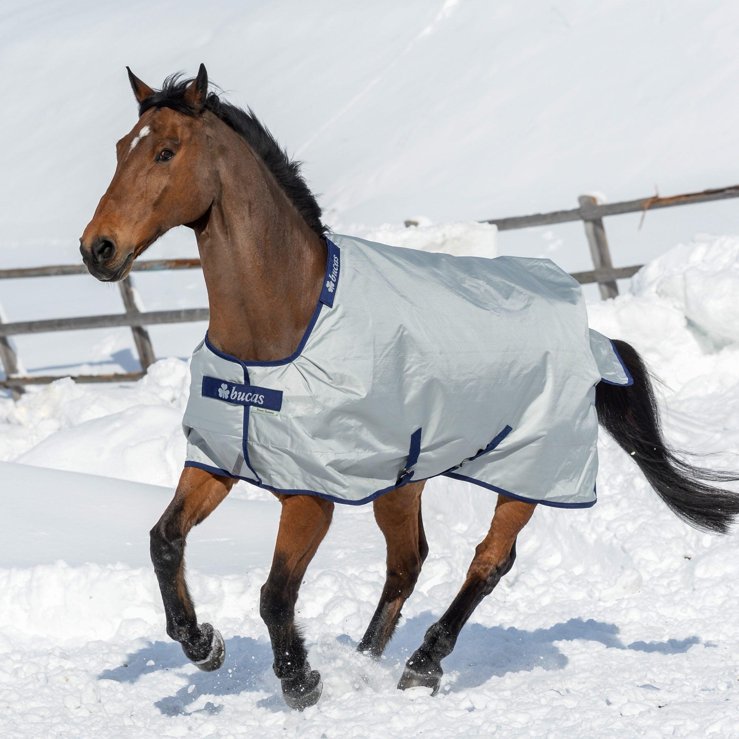 Manta impermeável para cavalos Bucas Power Turnout Light 300g 4/5