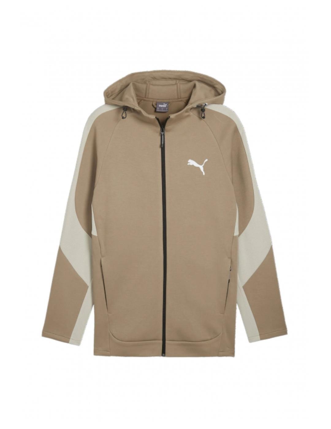 PUMA picture