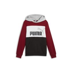 Sweatshirts polaires pour enfant Puma Block hoodie Grenat