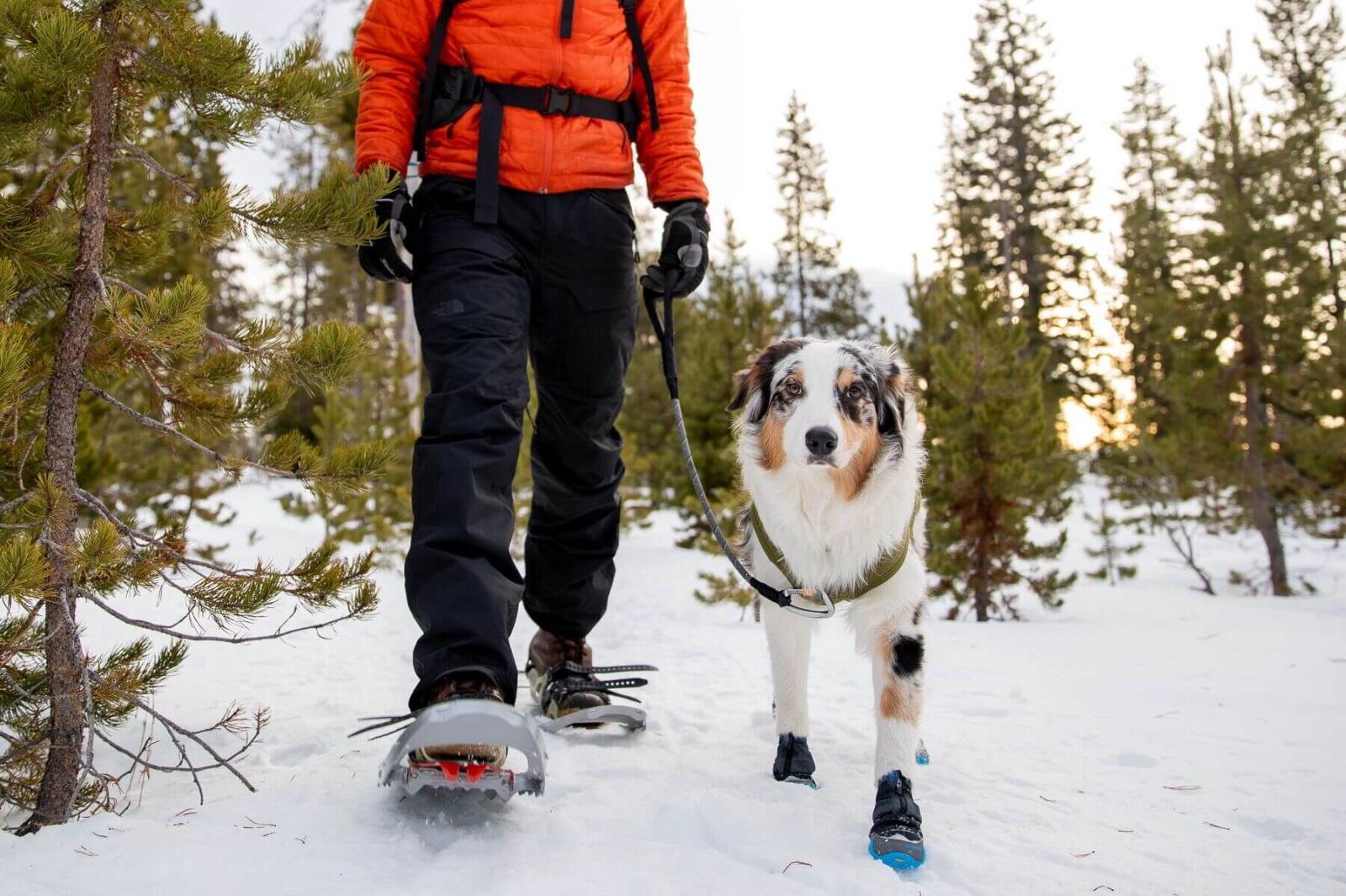 RUFFWEAR picture