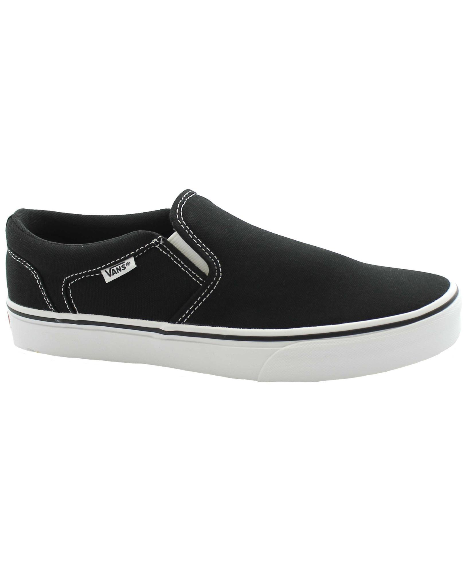 VANS picture
