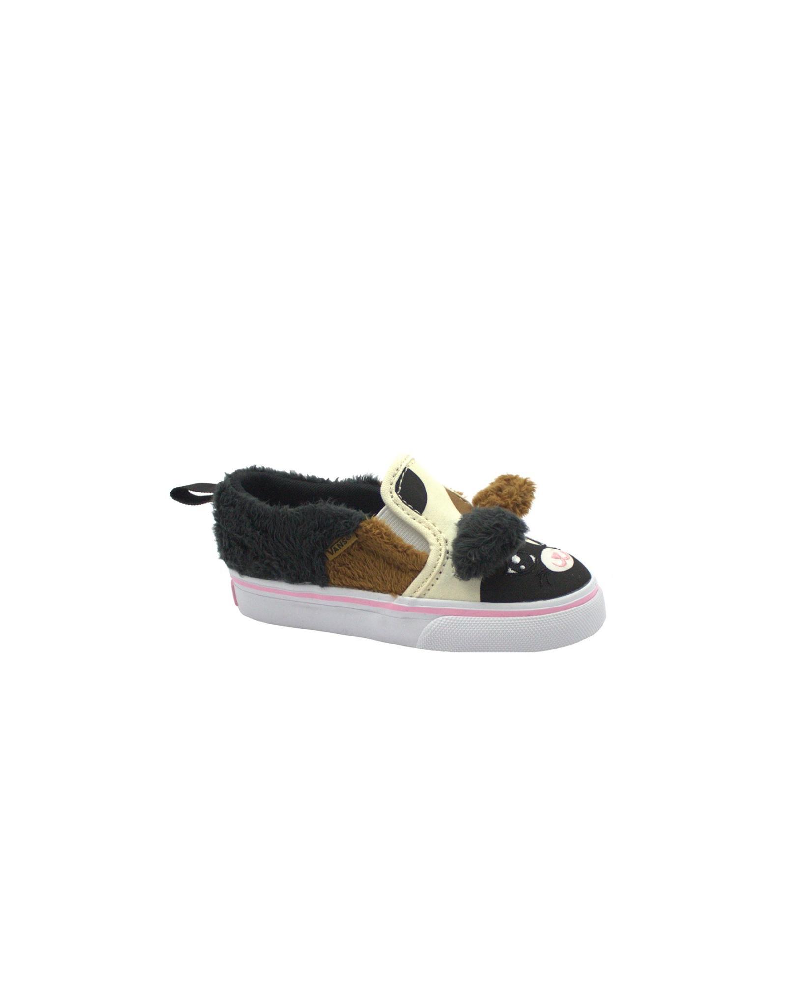 VANS picture