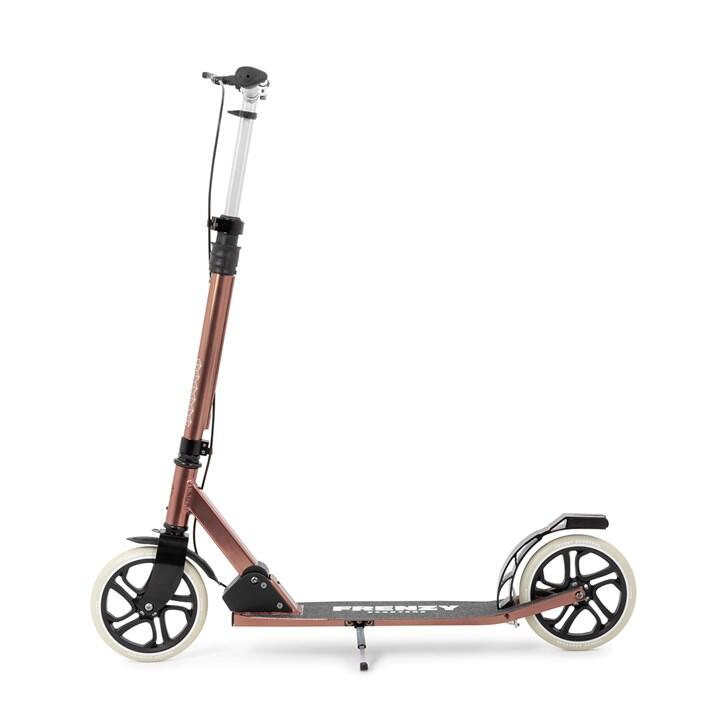 Městská koloběžka 205 Dual Brake V4 2/6