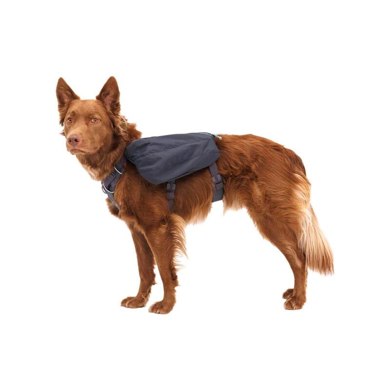 Rucsac caini Front Range Day Pack Ruffwear - L-XL - Basalt Gray
