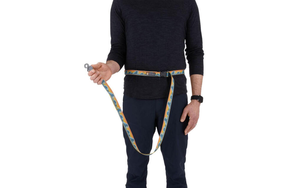 Smycz dla psa Ruffwear Crag Leash - rising wave 6/6