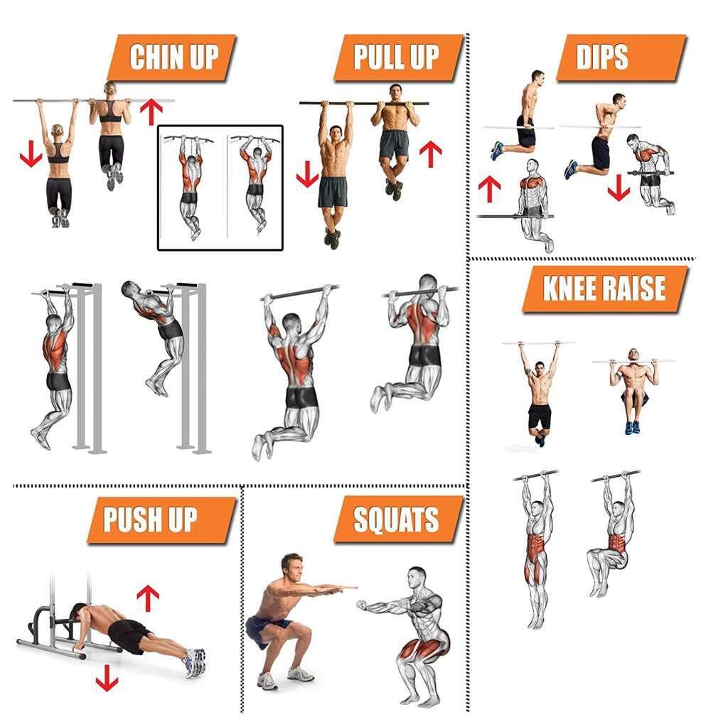 Panca Multifunzione chin up FF 3/3