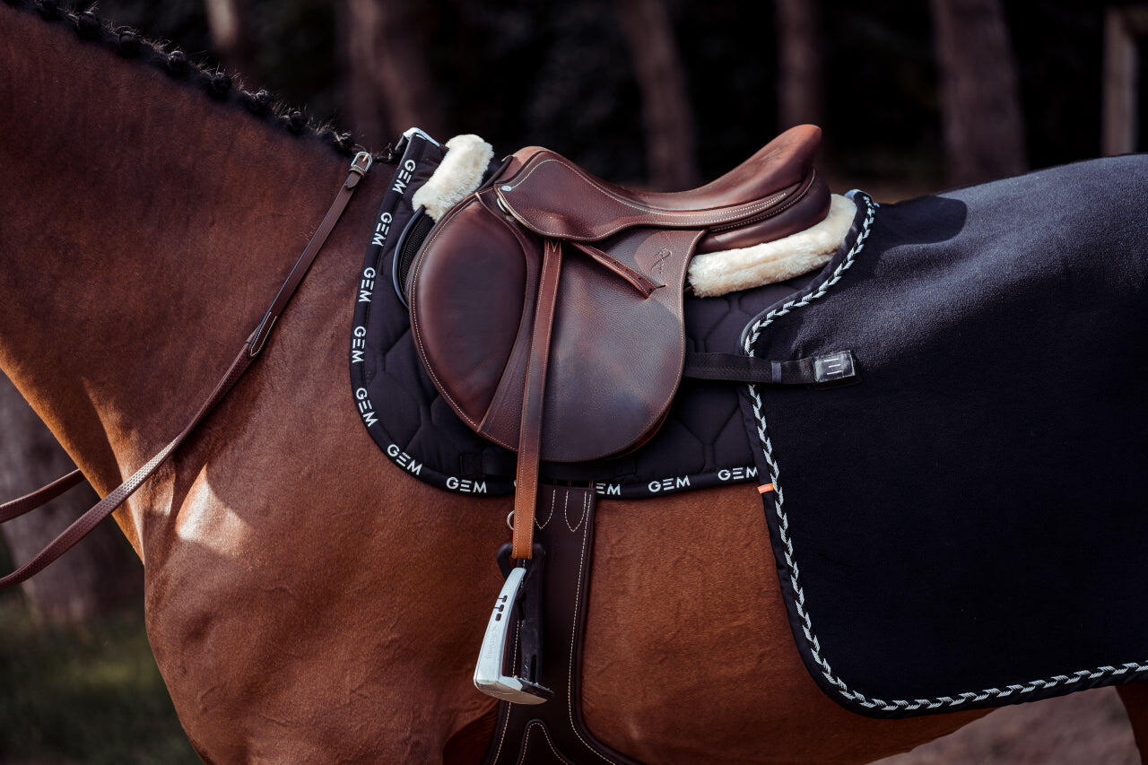 GEM EQUITATION picture