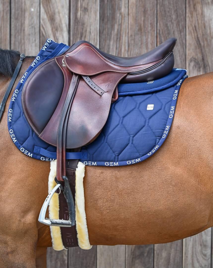 GEM EQUITATION picture
