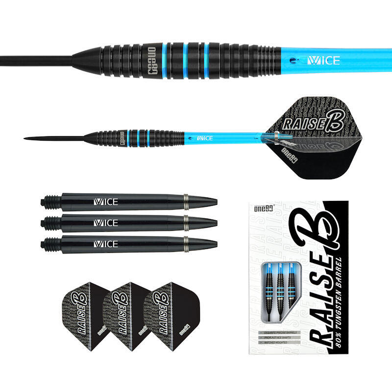 One80 Darts Raise B Aqua