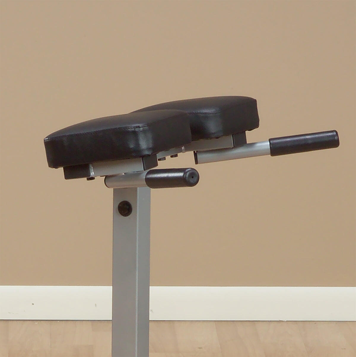 Roman Chair/ Back Hyperextension PCH24X 4/4