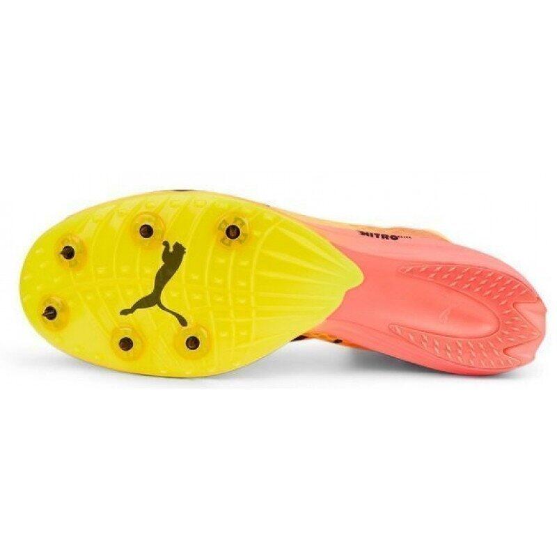 Chaussures d'athlétisme Puma evoSPEED Distance Nitro ElITe+ 2 5/5