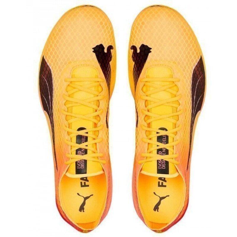 Chaussures d'athlétisme Puma evoSPEED Distance Nitro ElITe+ 2 4/5