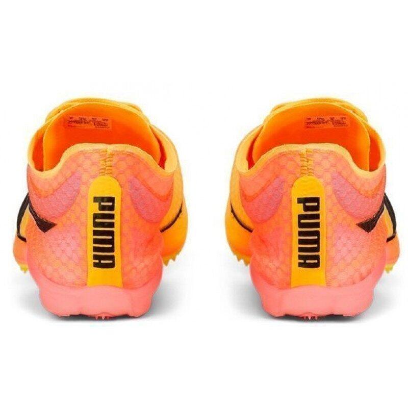 Chaussures d'athlétisme Puma evoSPEED Distance Nitro ElITe+ 2 3/5