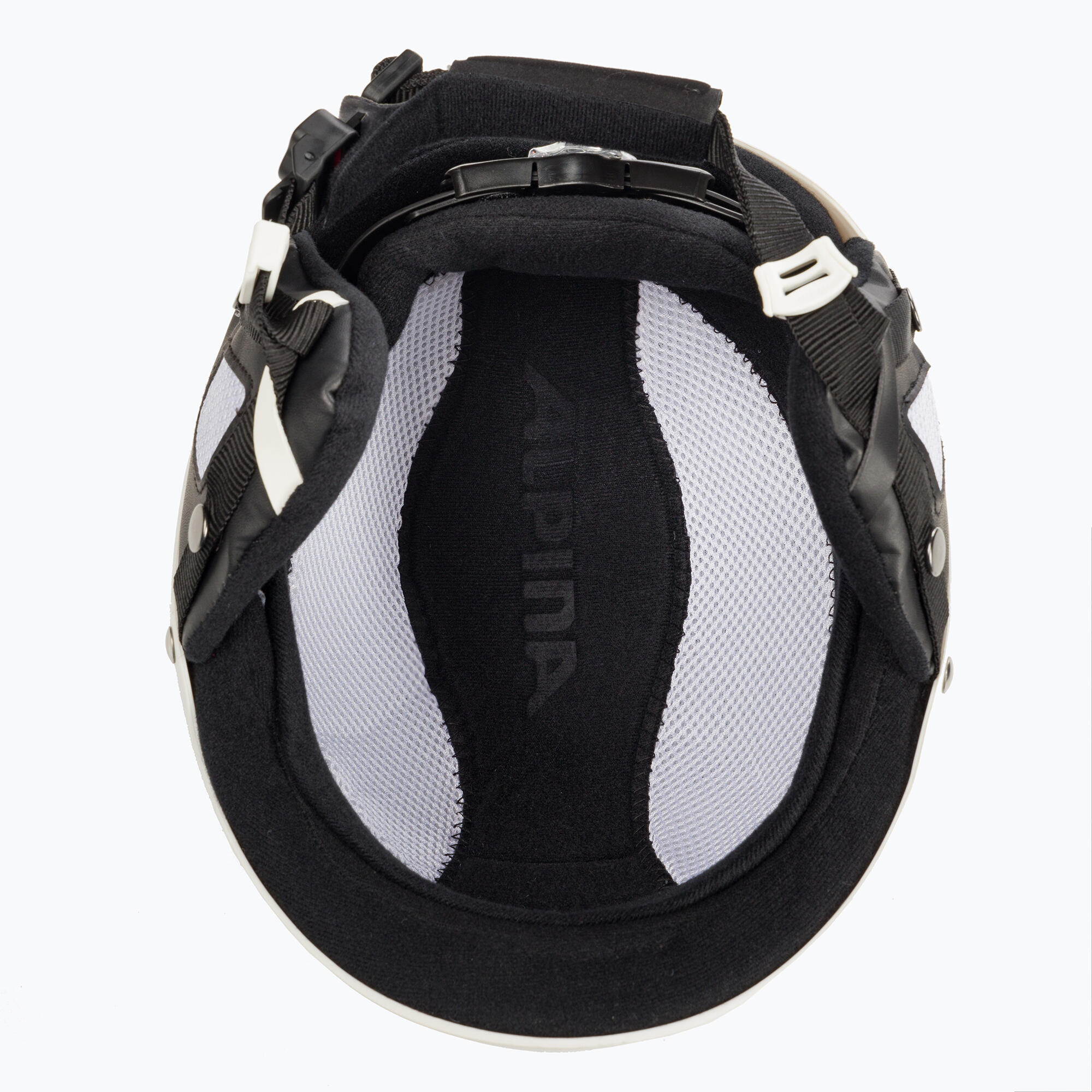 Kask narciarski Alpina Biom 5/5
