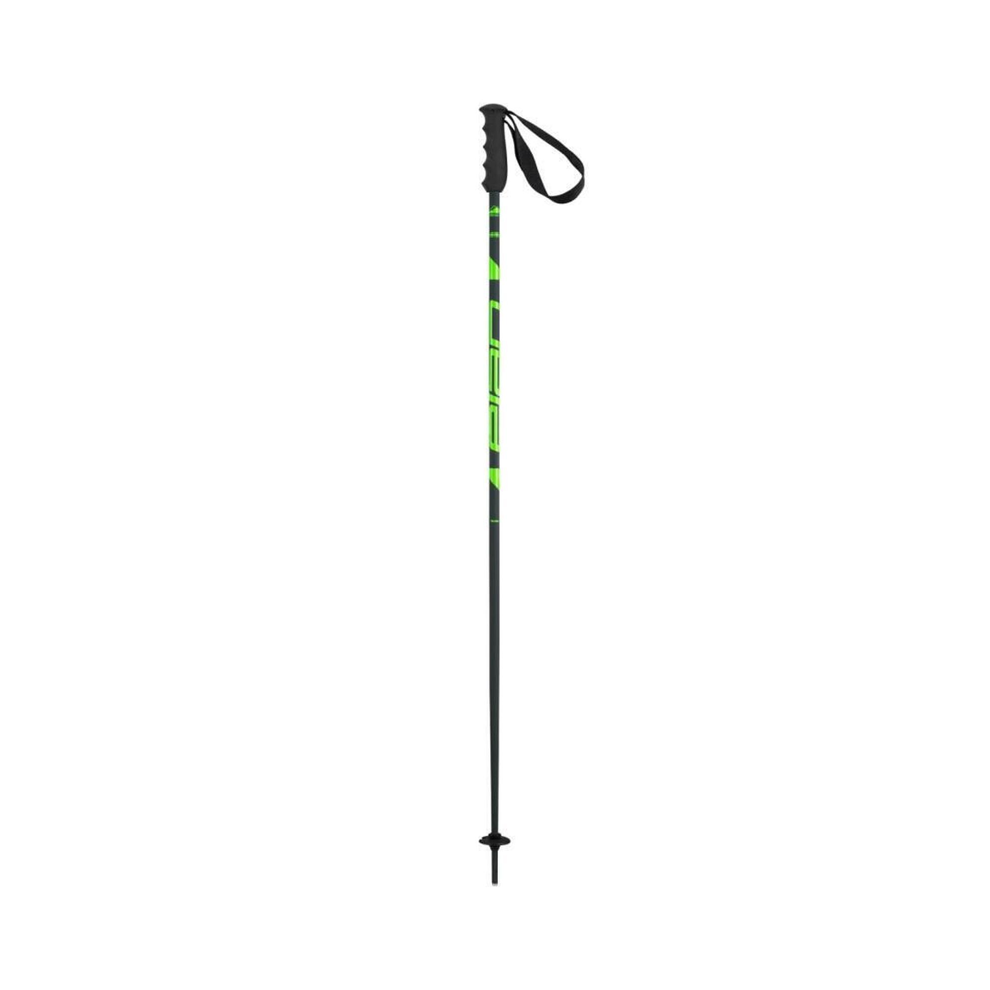 ELAN Lyžařské hole Elan Speedrod green 125