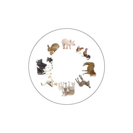 Effektrad Aktivierungsscheibe Bauernhof Gesundheitssport Unisex