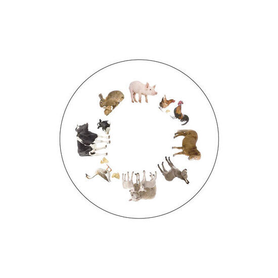 Effektrad Aktivierungsscheibe Bauernhof Gesundheitssport Unisex