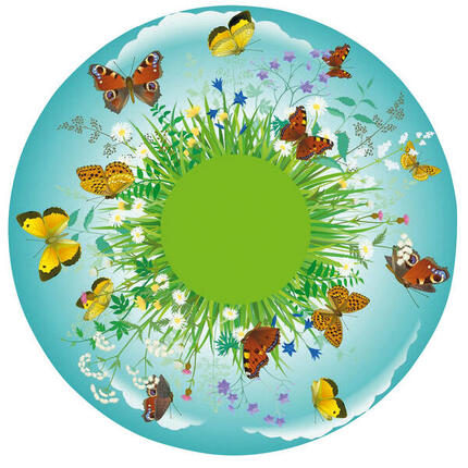 Effektrad Wiese Gesundheitssport Unisex