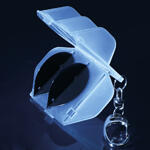Funda para Plumas Flight L-Case 2/2