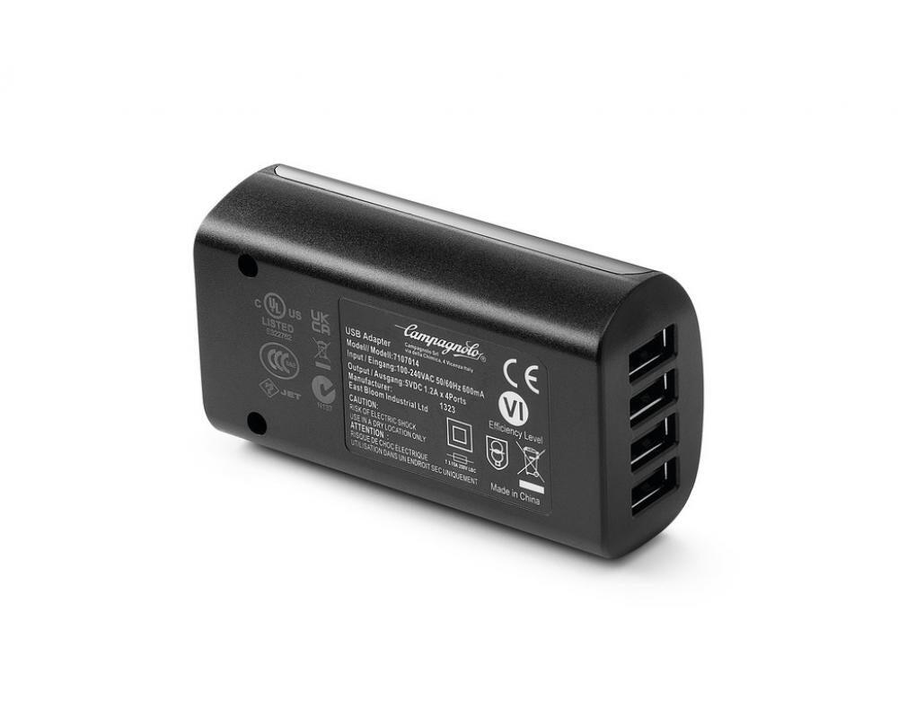 Batterie externe Campagnolo Wrl 2/3