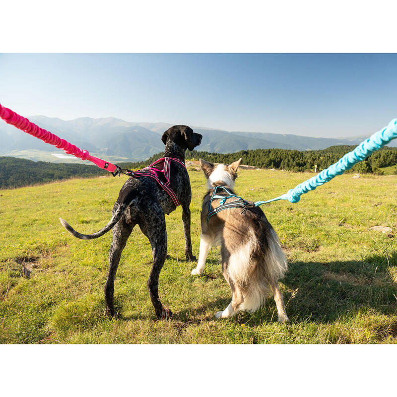Longe de tranction ONE pour chien canicross jogging rose, mousqueton noir