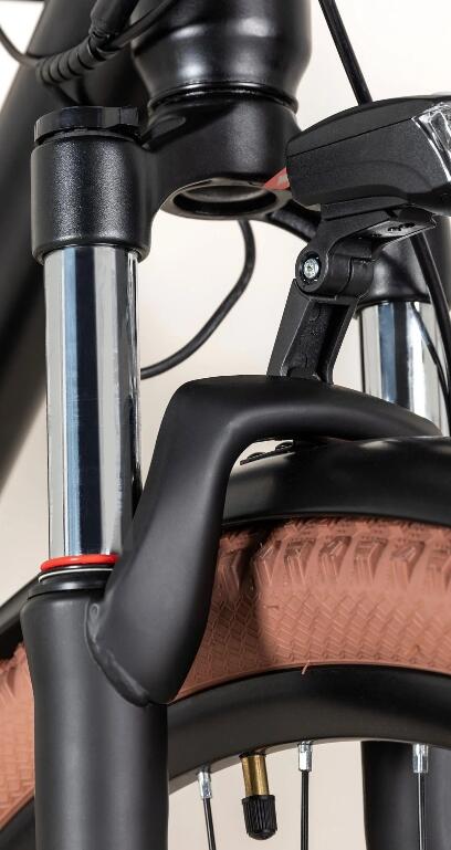 Bici elettrica a pedalata assistita Brooklyn uomo motore Bafang H300 250W/35Nm 3/5