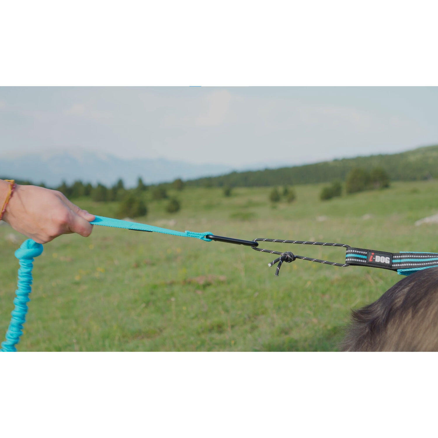 Lunga di trazione moschettone in alluminio I-DOG Canicross One 4/6