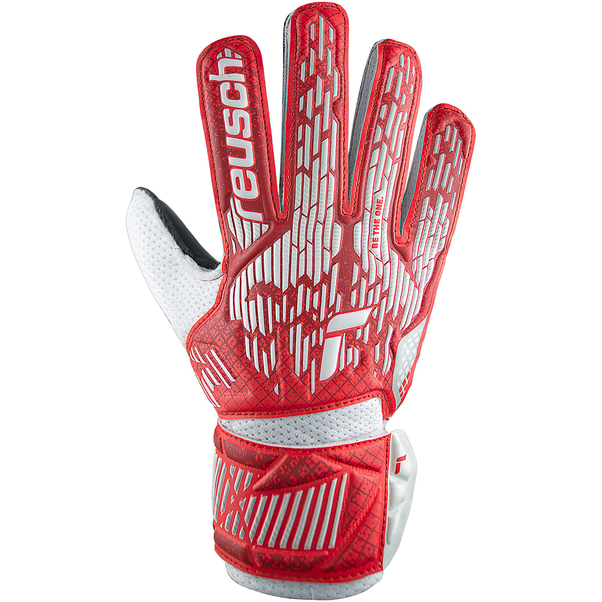 REUSCH picture