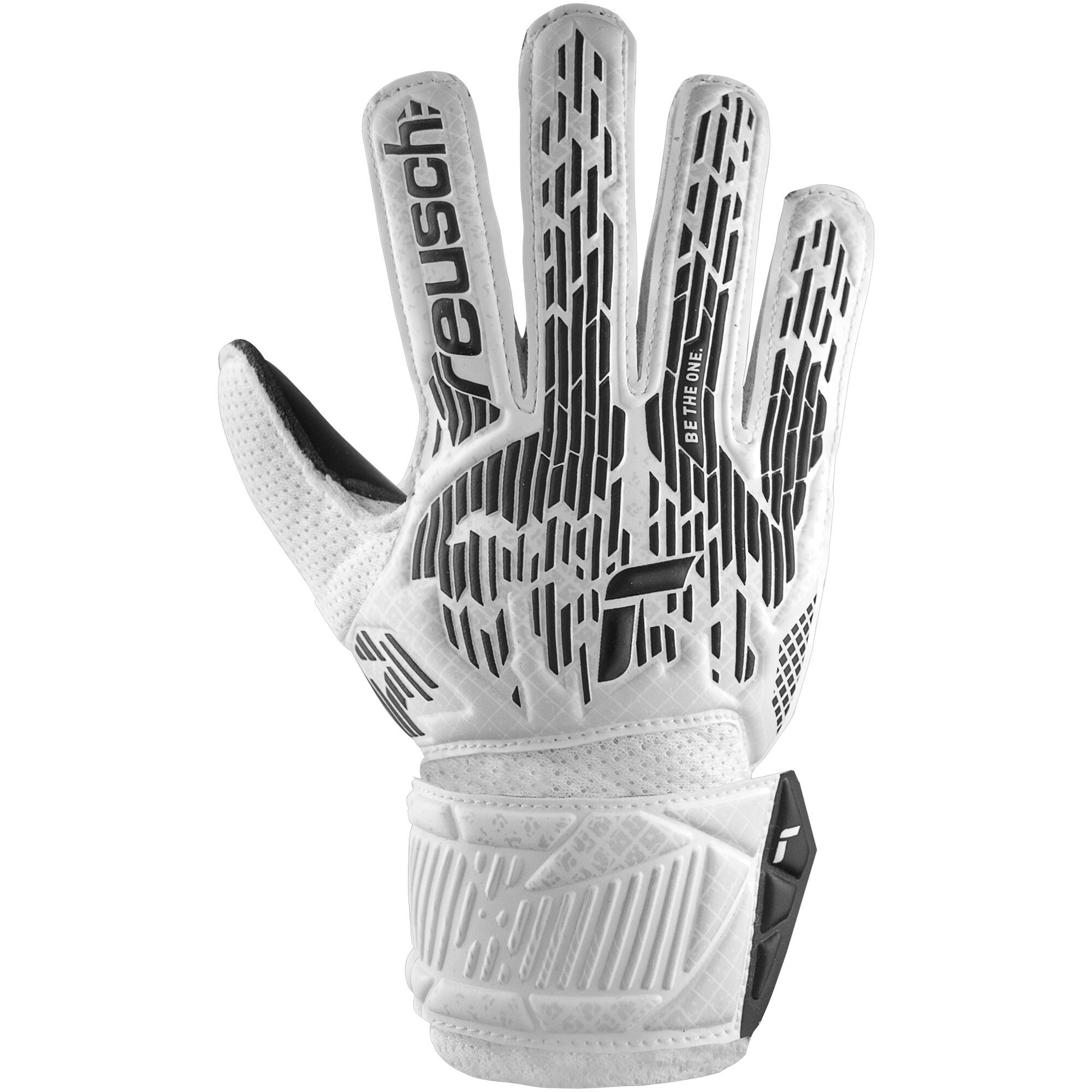 REUSCH picture